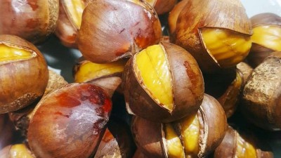🌰 우리 아이 첫 간식! 키즈약단밤 솔직 후기 & 꿀팁 대방출! (할인 정보 포함)