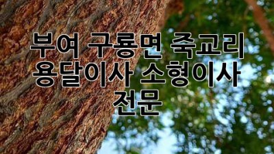부여 구룡면 죽교리 용달이사, 소형이사 전문!