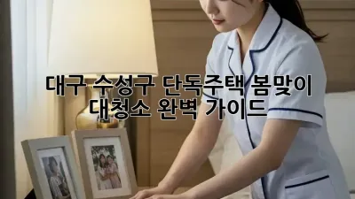 대구 수성구 단독주택 봄맞이 대청소 완벽 가이드